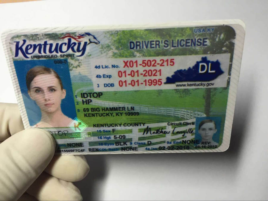Dc Code Fake Id
